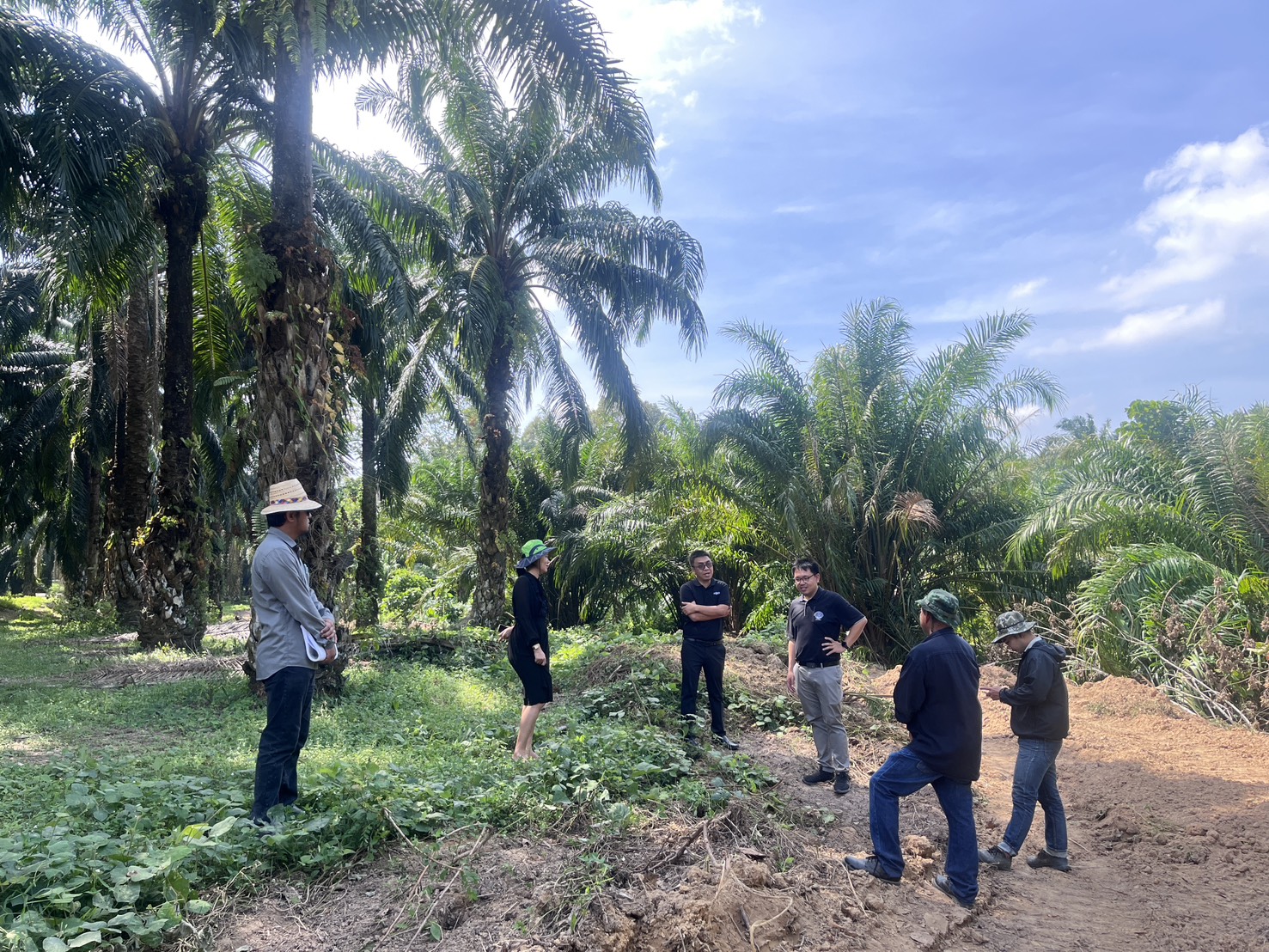 title - ส.ป.ก.กระบี่ ลงพื้นที่ติดตามความก้าวหน้าและแก้ไขปัญหาการดำเนินการจัดสรรที่ดินทำกินและระบบโครงสร้างพื้นฐานในพื้นที่ คทช. แปลงหมายเลข 602 และ 603